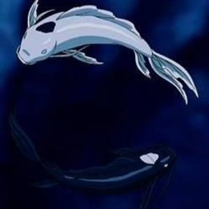 Meet your Posher, Kellie